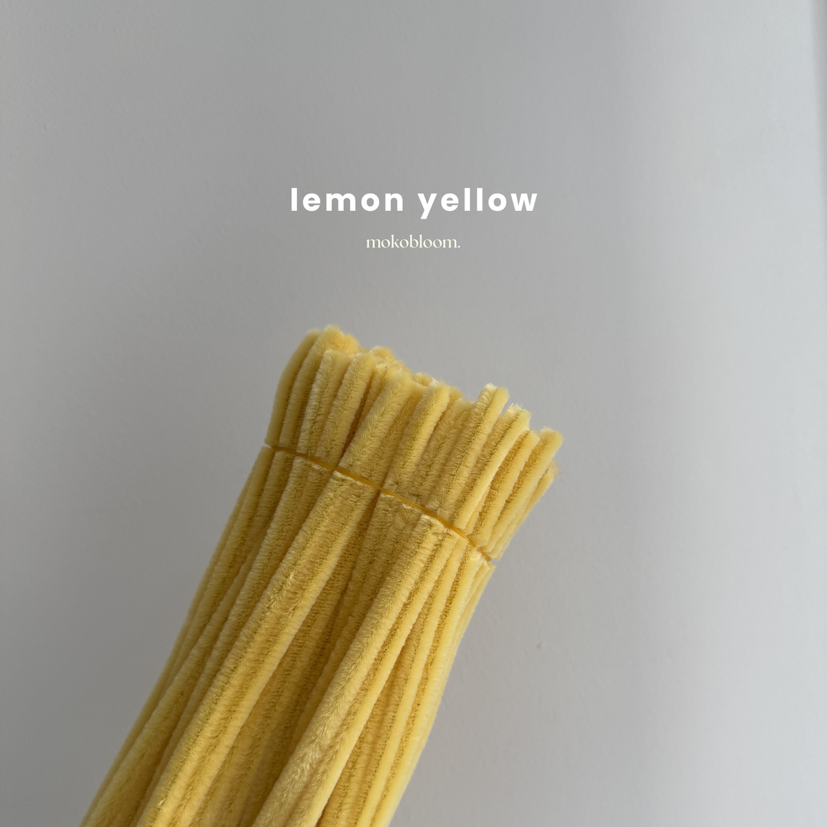 Premium Craft Pipe Cleaner Supplies