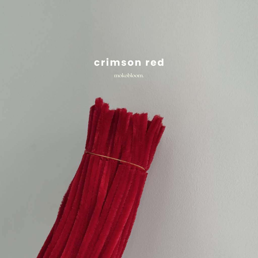 Premium Craft Pipe Cleaner Supplies