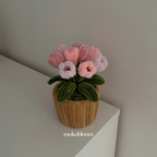 Mini Tulip Pots