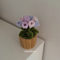 Mini Tulip Pots
