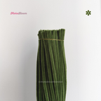 Mixed Greens Set | 300pc Green/White Pipe Cleaner Supplies Bundle