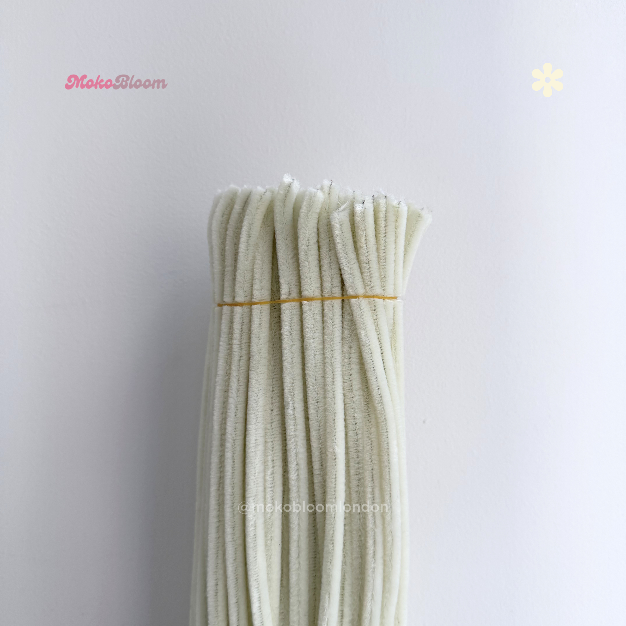 Ivory Cream Pipecleaners | Crafting Supplies