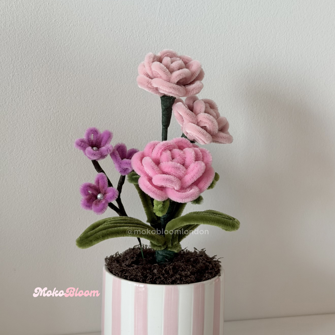 Puff Rose Flower Pot