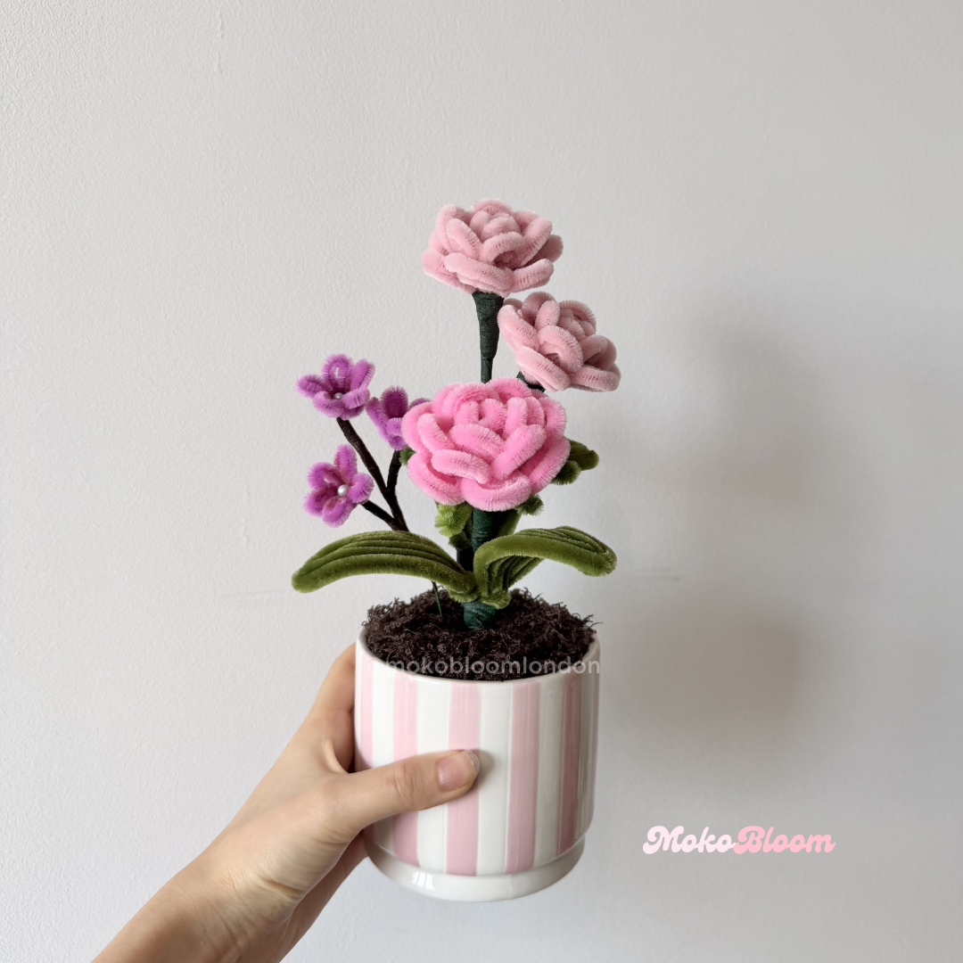 Puff Rose Flower Pot