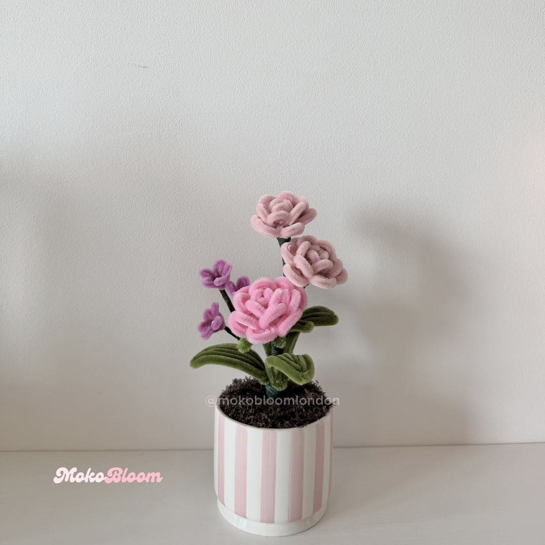 Puff Rose Flower Pot