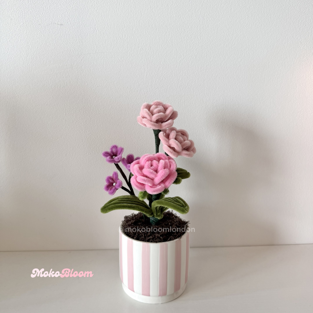 Puff Rose Flower Pot