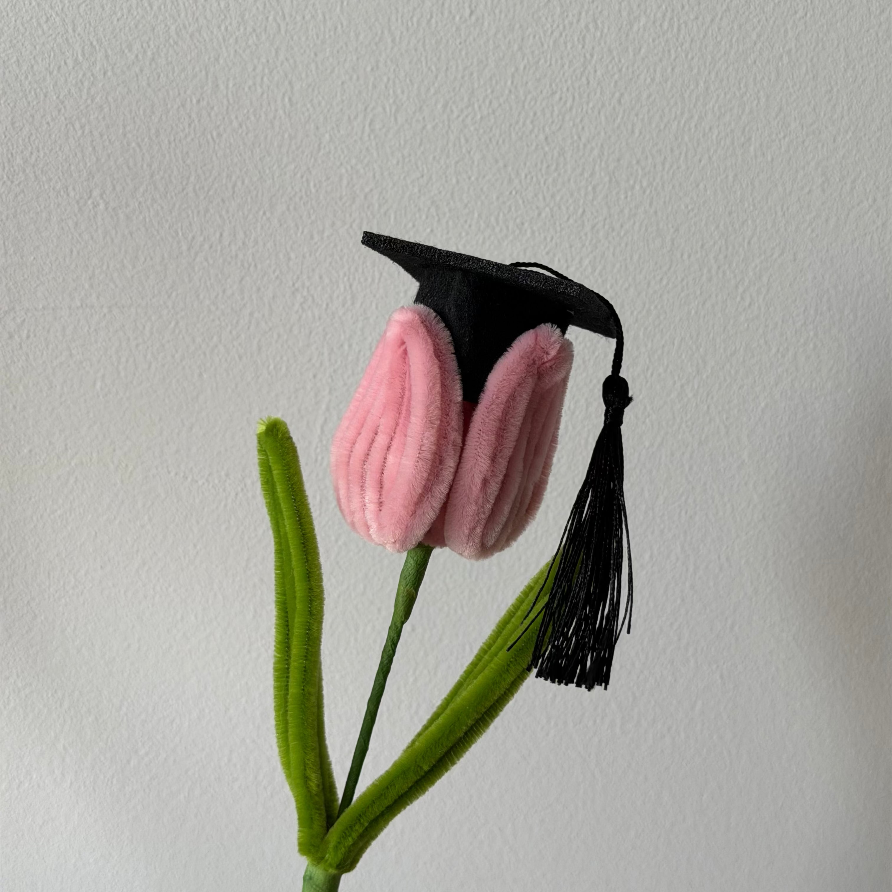 Mini Graduation Cap Add-on